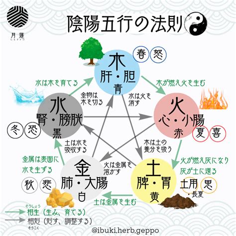 相生と相剋|陰陽五行思想